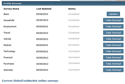 GTM Panel Member Dashboard Screen shot